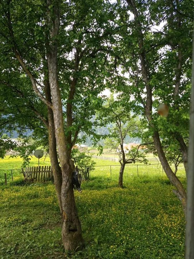 Shorena'S Homestay Tsvirmi Экстерьер фото