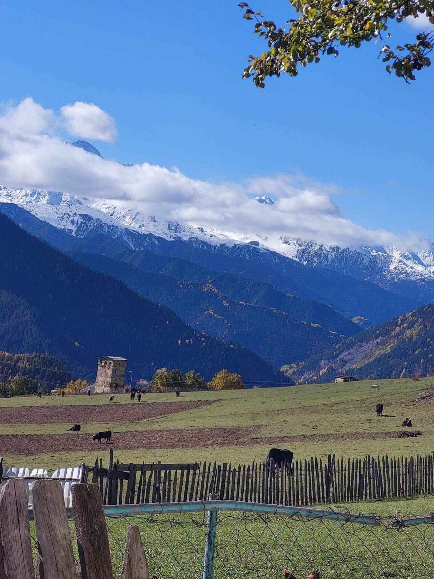 Shorena'S Homestay Tsvirmi Экстерьер фото