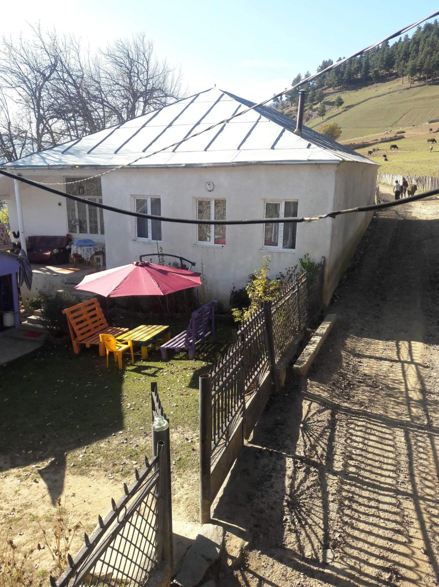 Shorena'S Homestay Tsvirmi Экстерьер фото