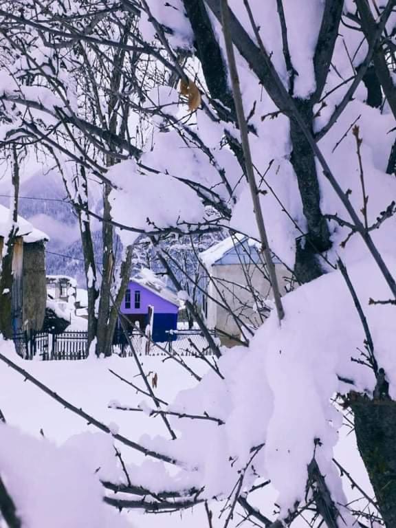 Shorena'S Homestay Tsvirmi Экстерьер фото